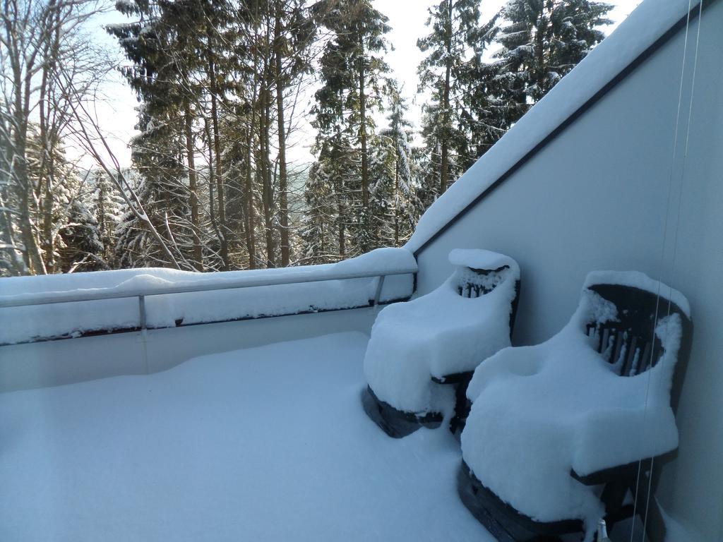 Terrassenhaus Winterberg Exterior foto
